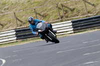 Fowlers 0348