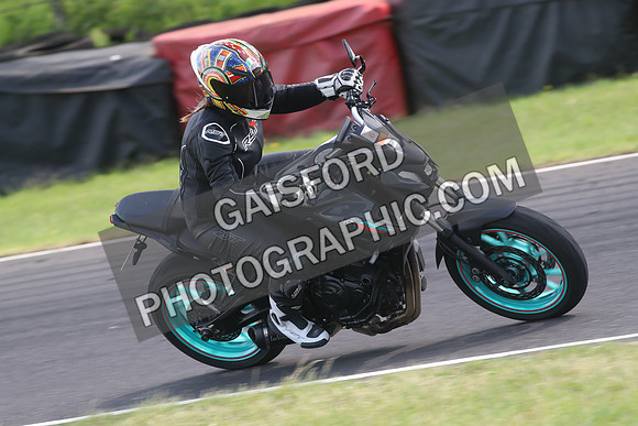 BIKES 1350
