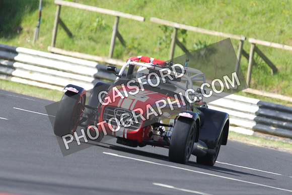 Lotus 0193