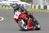 Fowlers 0523