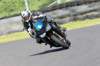 Fowlers 0409