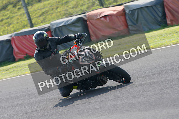 Fowlers 0996