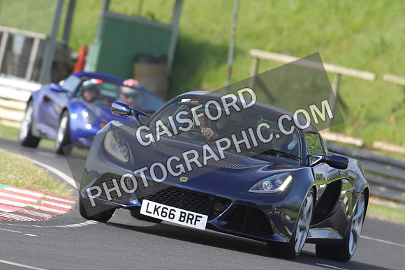 Lotus 0078