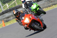 Fowlers 0833