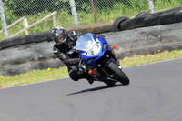 Fowlers 0698