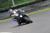 Fowlers 0490