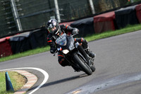 BIKES 1461