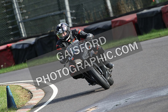 BIKES 1461