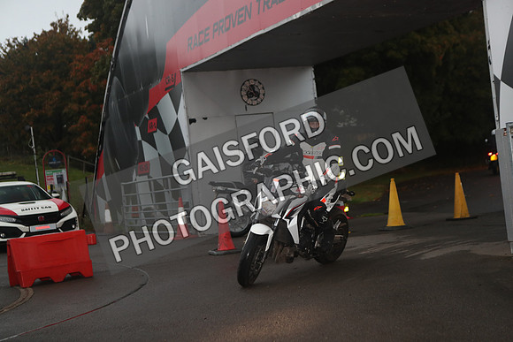 BIKES 0085
