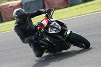 Fowlers 0984