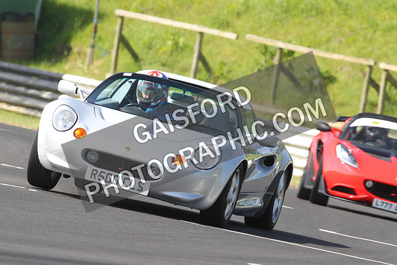 Lotus 0276