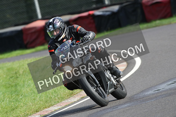 BIKES 1462