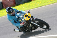 Fowlers 0943