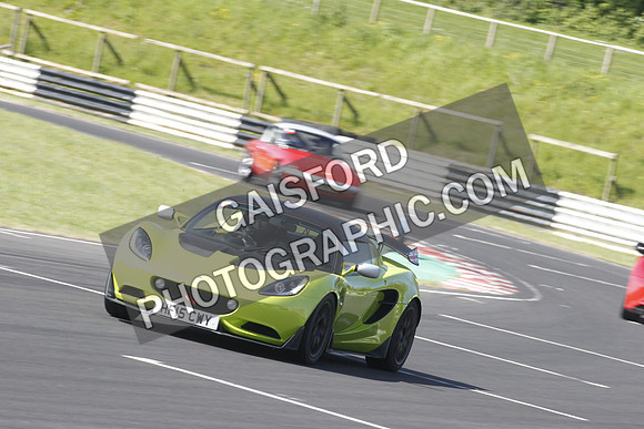 Lotus 0363