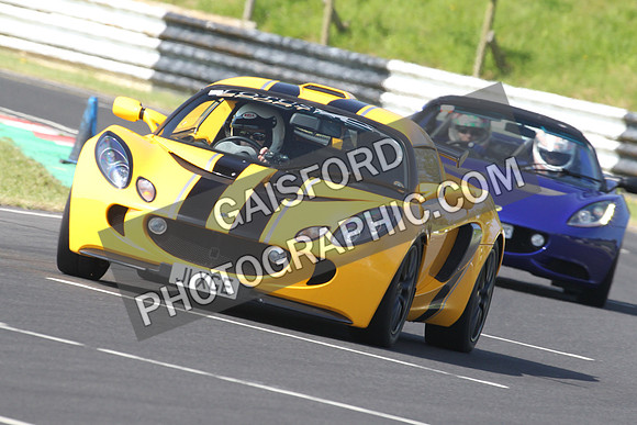 Lotus 0251
