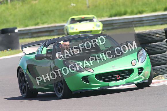 Lotus 1338