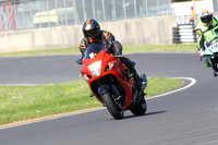 Suzuki dark orange