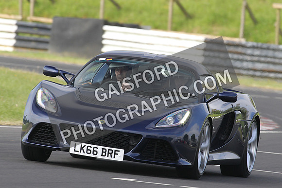 Lotus 0004