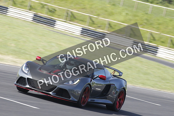 Lotus 0239