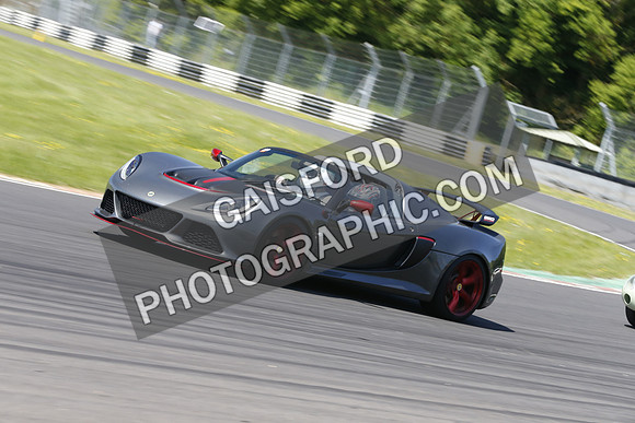 Lotus 0830