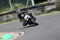 Fowlers 0854