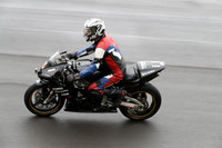Fowlers 0592