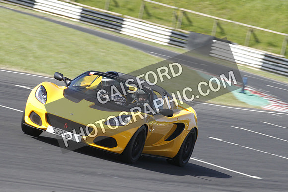 Lotus 0240