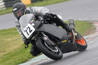 Fowlers 0267