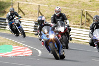 Fowlers 0465