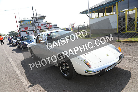 Lotus 1589