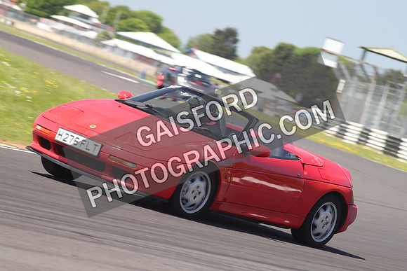 Lotus 0807