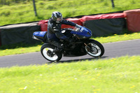 Fowlers 0862