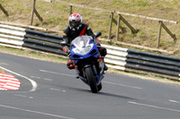 Fowlers 0469