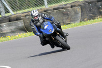 Fowlers 0491