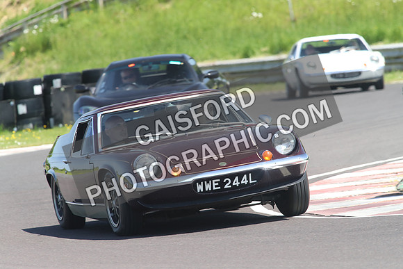Lotus 1308