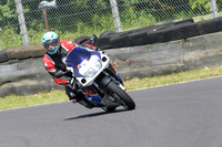 Fowlers 0986