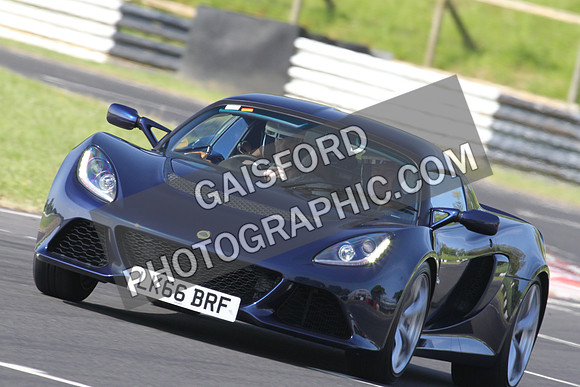 Lotus 0162