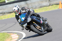 Fowlers 0410