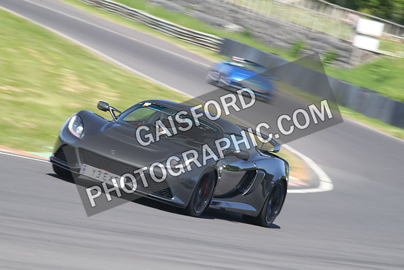 Lotus 2358