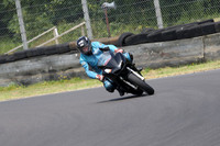 Fowlers 0893