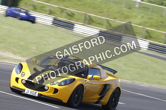 Lotus 0234