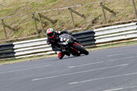 Fowlers 0325