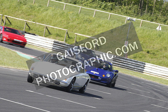 Lotus 0146