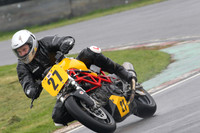 Fowlers 0282