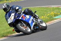 Fowlers 0474