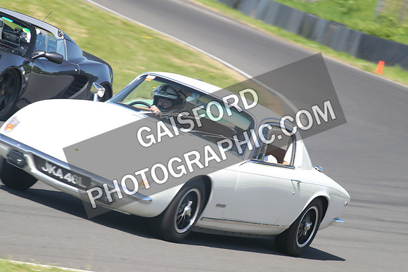 Lotus 2478