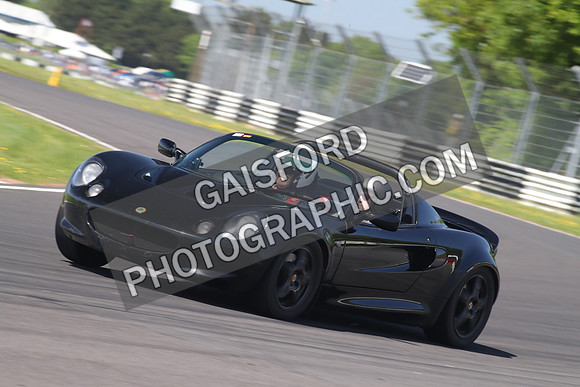 Lotus 0637