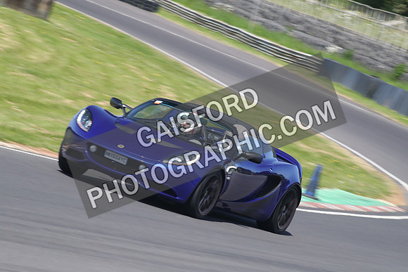 Lotus 2339