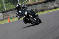 Fowlers 0778