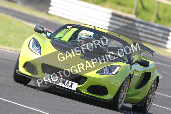 Lotus 0398